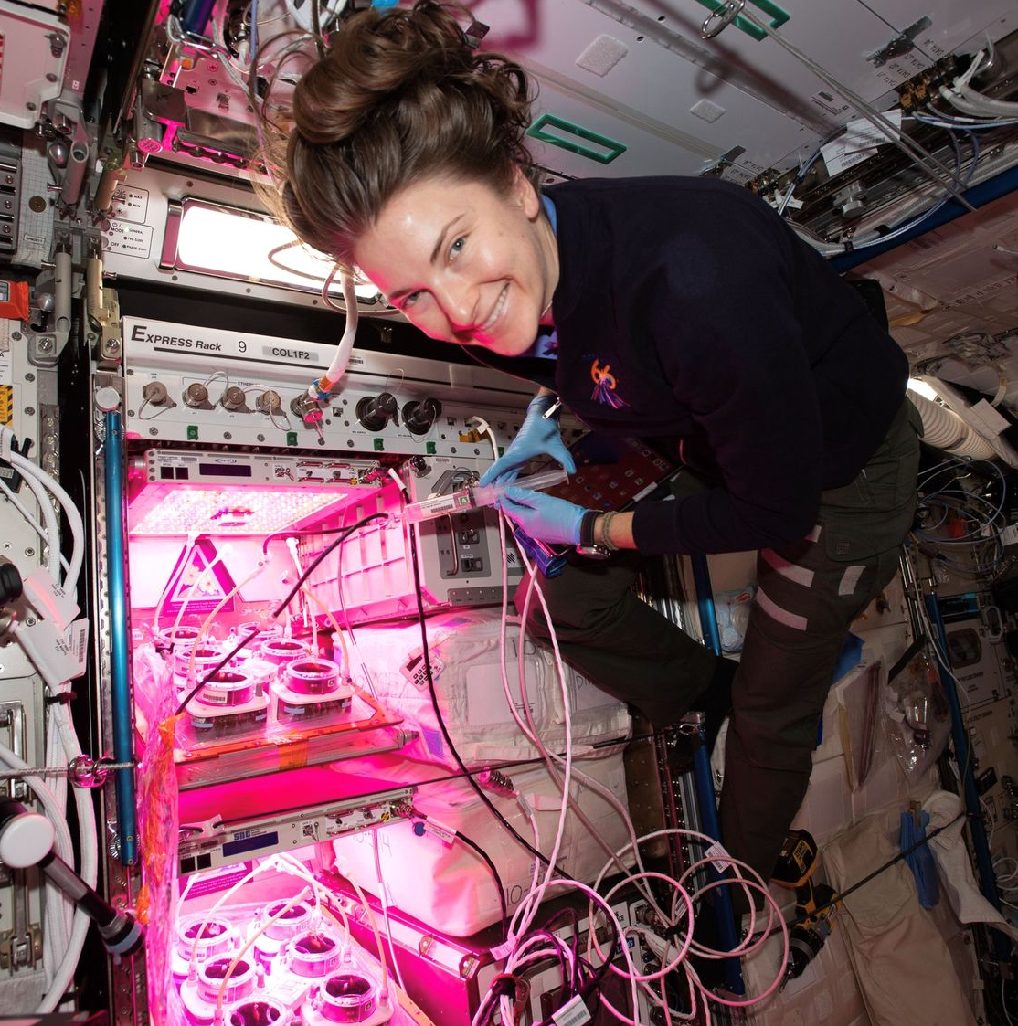 NASA astronaut Kayla Barron conducts research experiments with plants on the International Space Station. The HPE Spaceborne Computer-2 is visible over Barron's back.