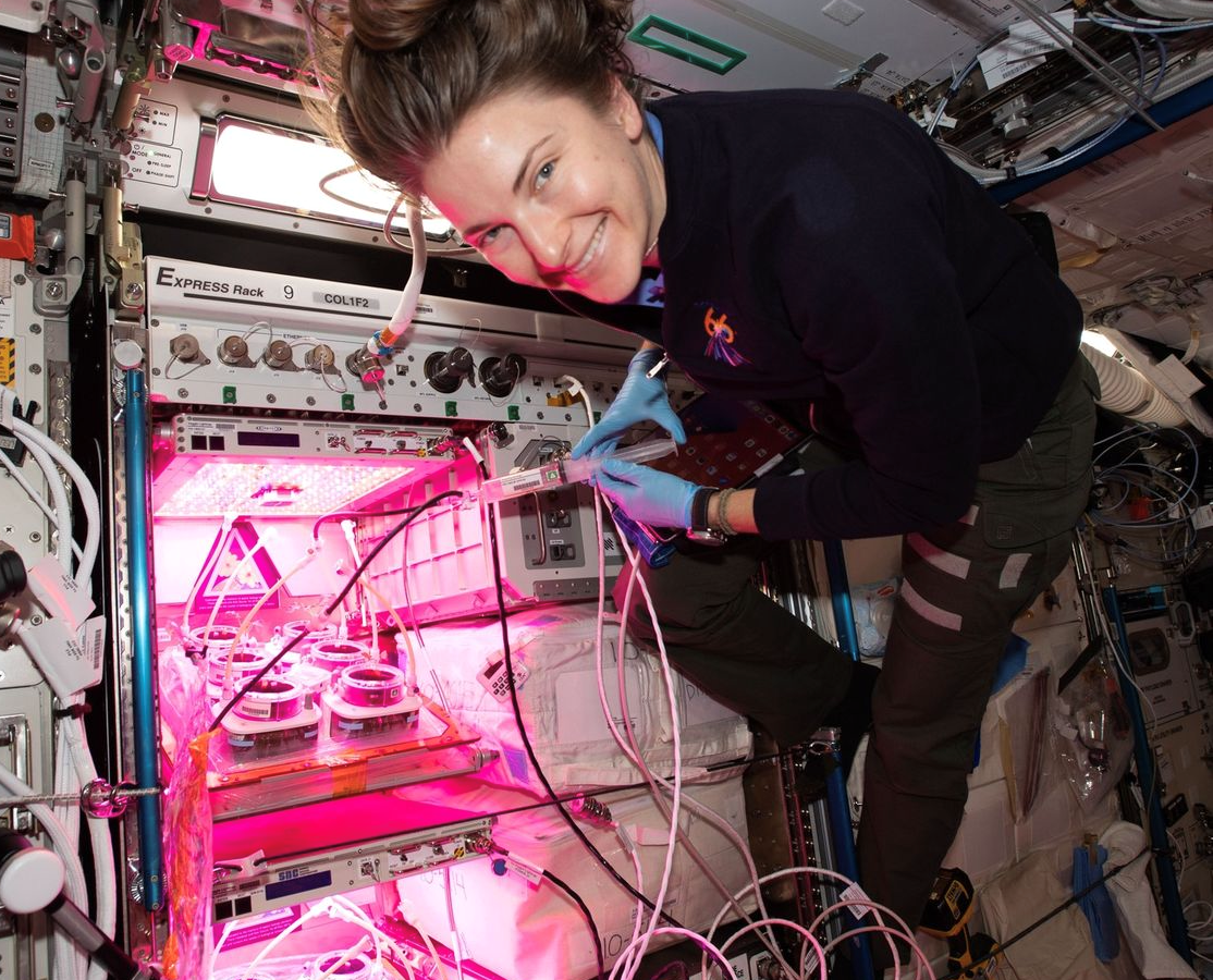 NASA astronaut Kayla Barron conducts research experiments with plants on the International Space Station. The HPE Spaceborne Computer-2 is visible over Barron's back.