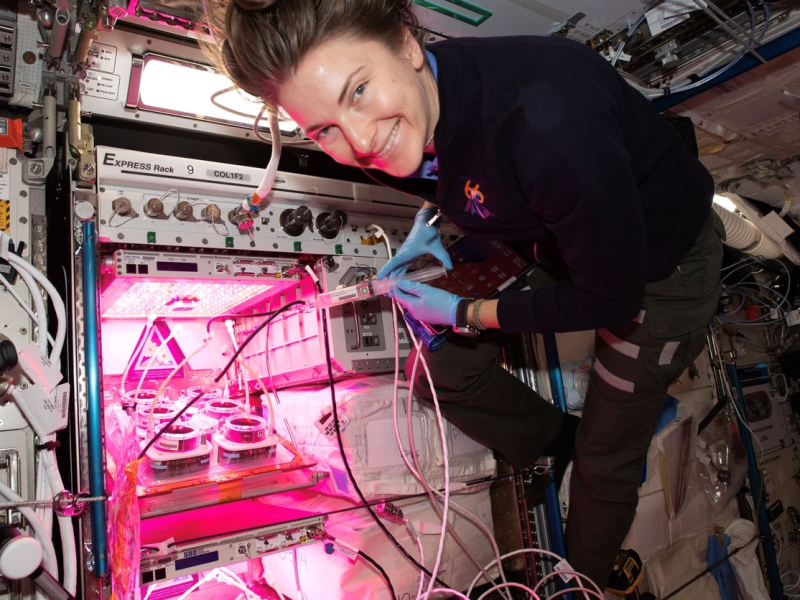 NASA astronaut Kayla Barron conducts research experiments with plants on the International Space Station. The HPE Spaceborne Computer-2 is visible over Barron's back.