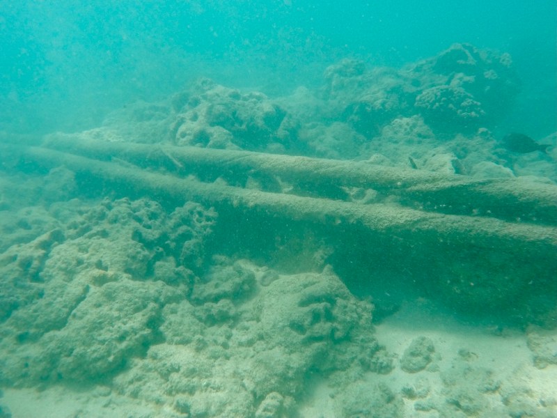 Photo of the HAW-1 undersea cable amidst coral on the seafloor.